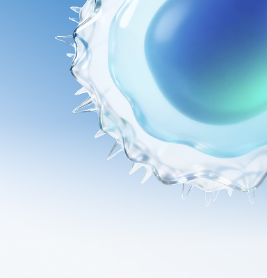 Immune Cell Activation