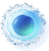 Immune Cell Activation State